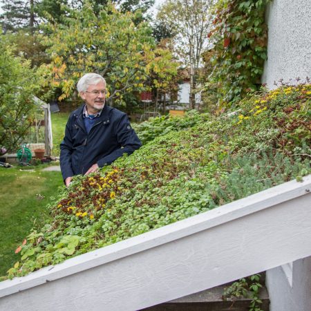 mann ved et tak med grønne vekster