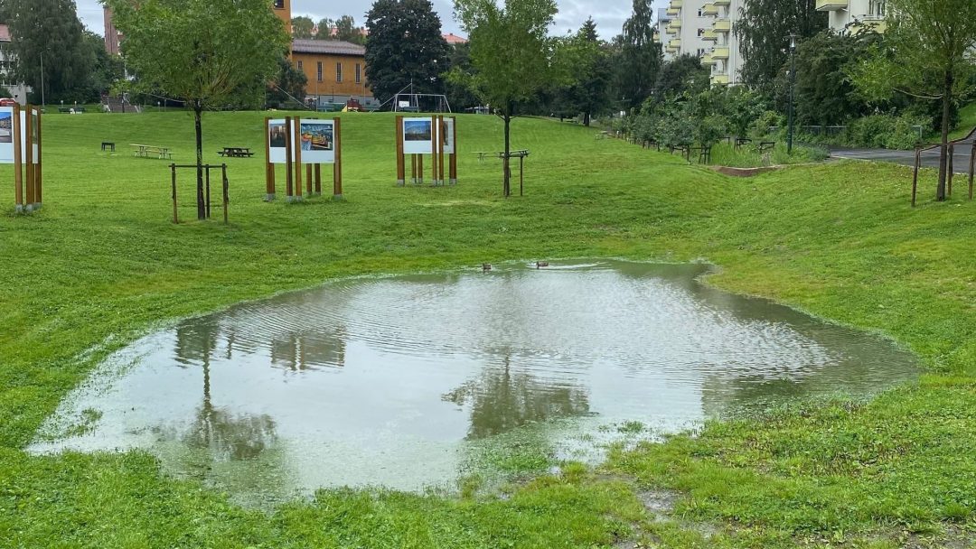 Regnvannet har samlet seg i en liten dam