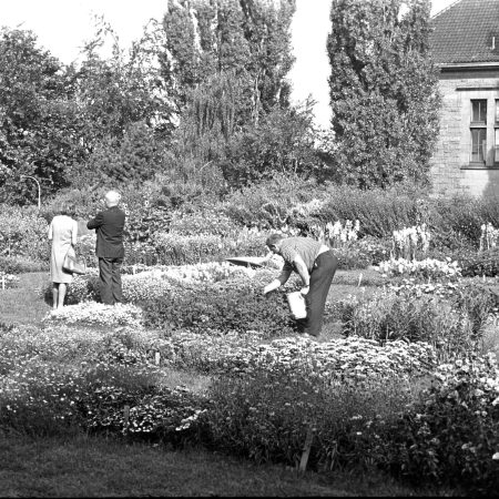 Gå til Her er landets eldste botaniske hage