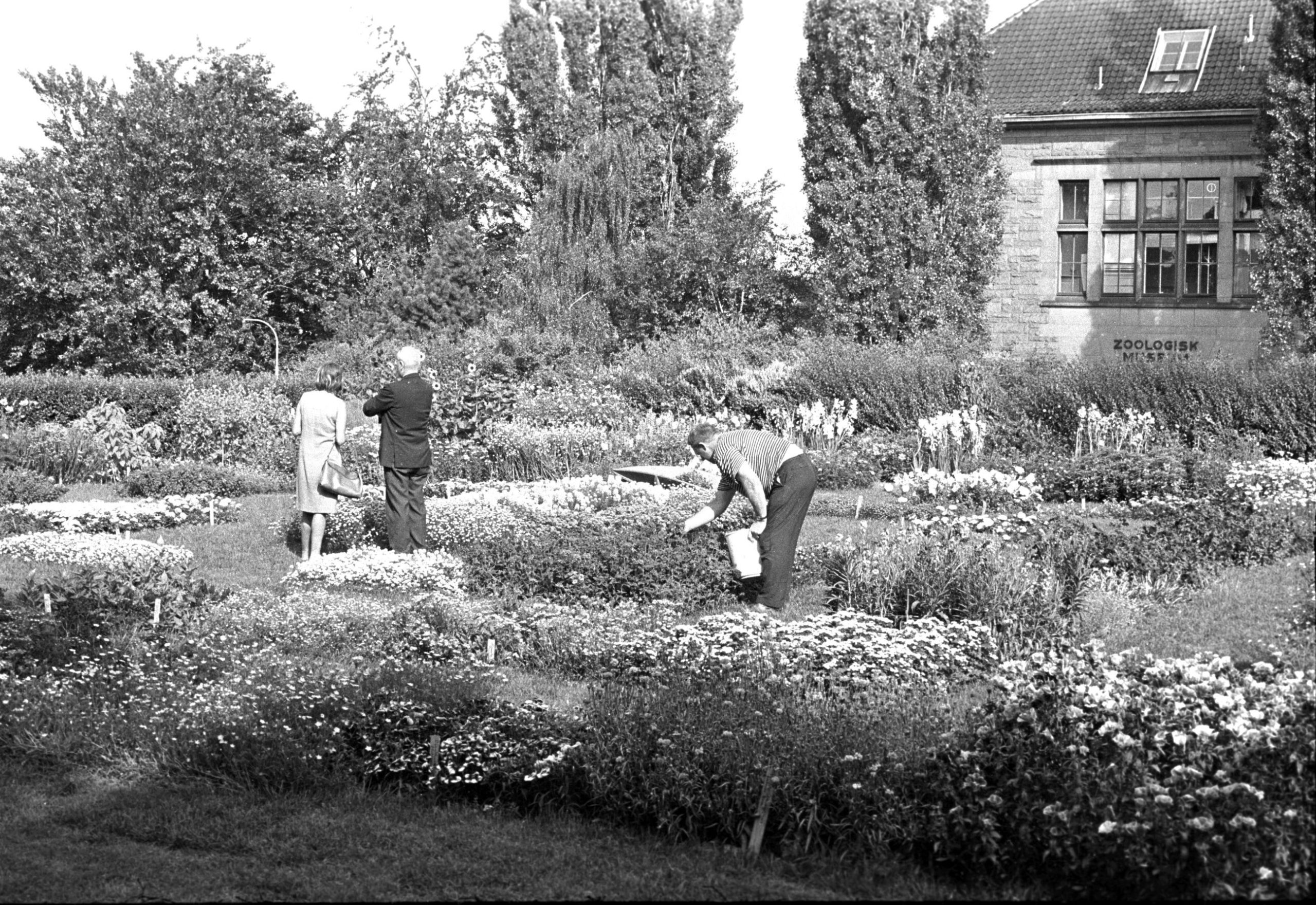 Gå til Her er landets eldste botaniske hage