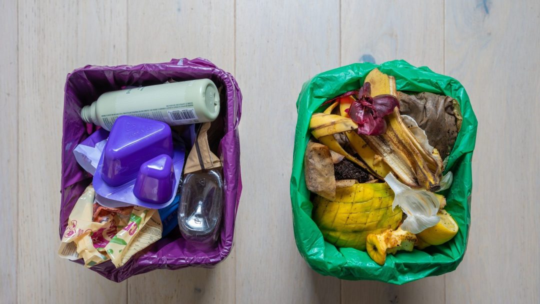 Lilla og grønn pose: Plastemballasje og matavfall.