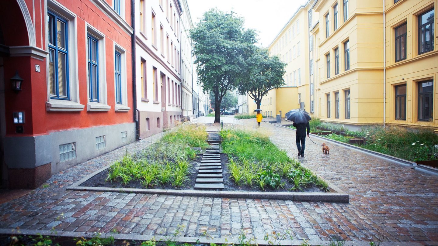 Det store blomsterbedet i gatetunet i Deichmans gate/Wilses gate. En skulle nesten ikke tro at bedet er spesialbygd for å ta opp store mengder vann.