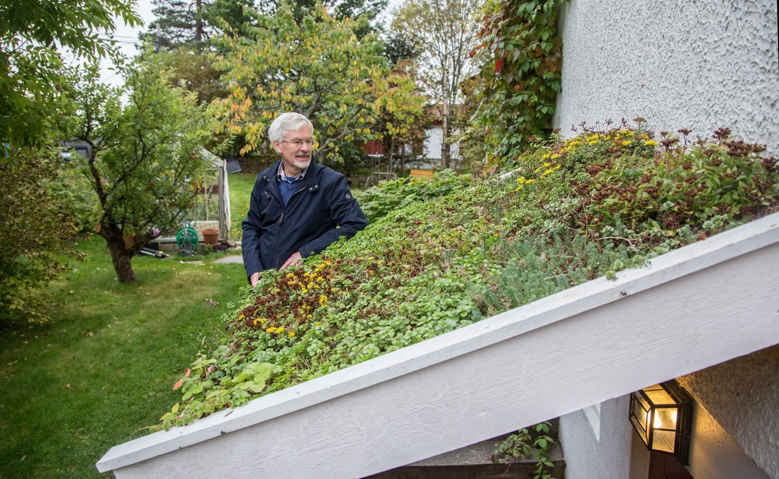 Bent C. Braskerud tester ut flere grønne tak på huset sitt og på inngangspartier.