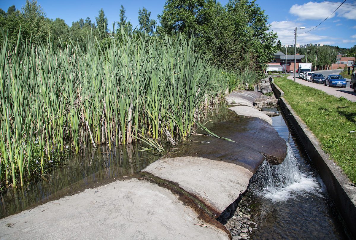 Elv, stein og grønt gress i Hølaløkka vannpark