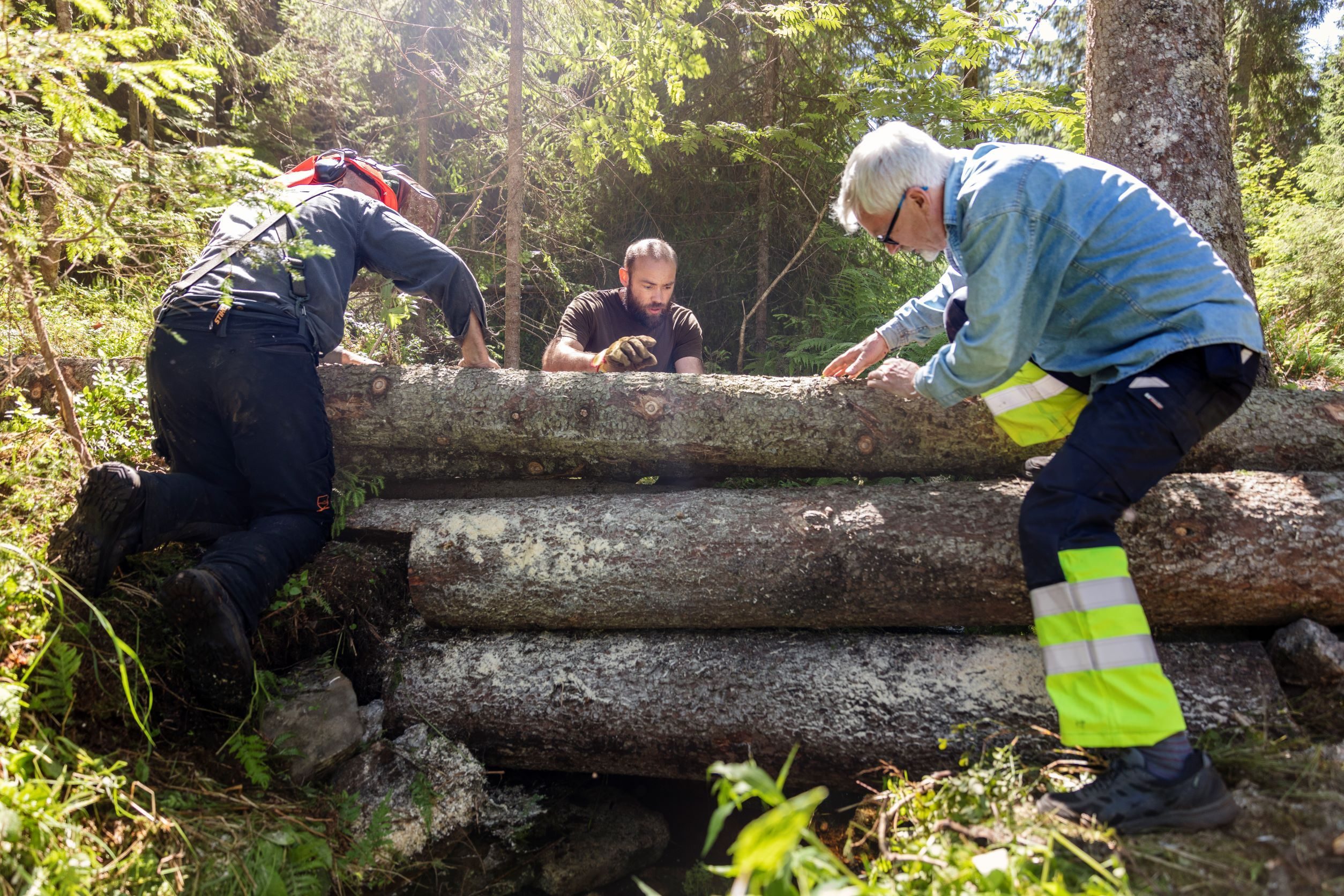 flomdemping fordrøyning trestokker marka klimatilpasning