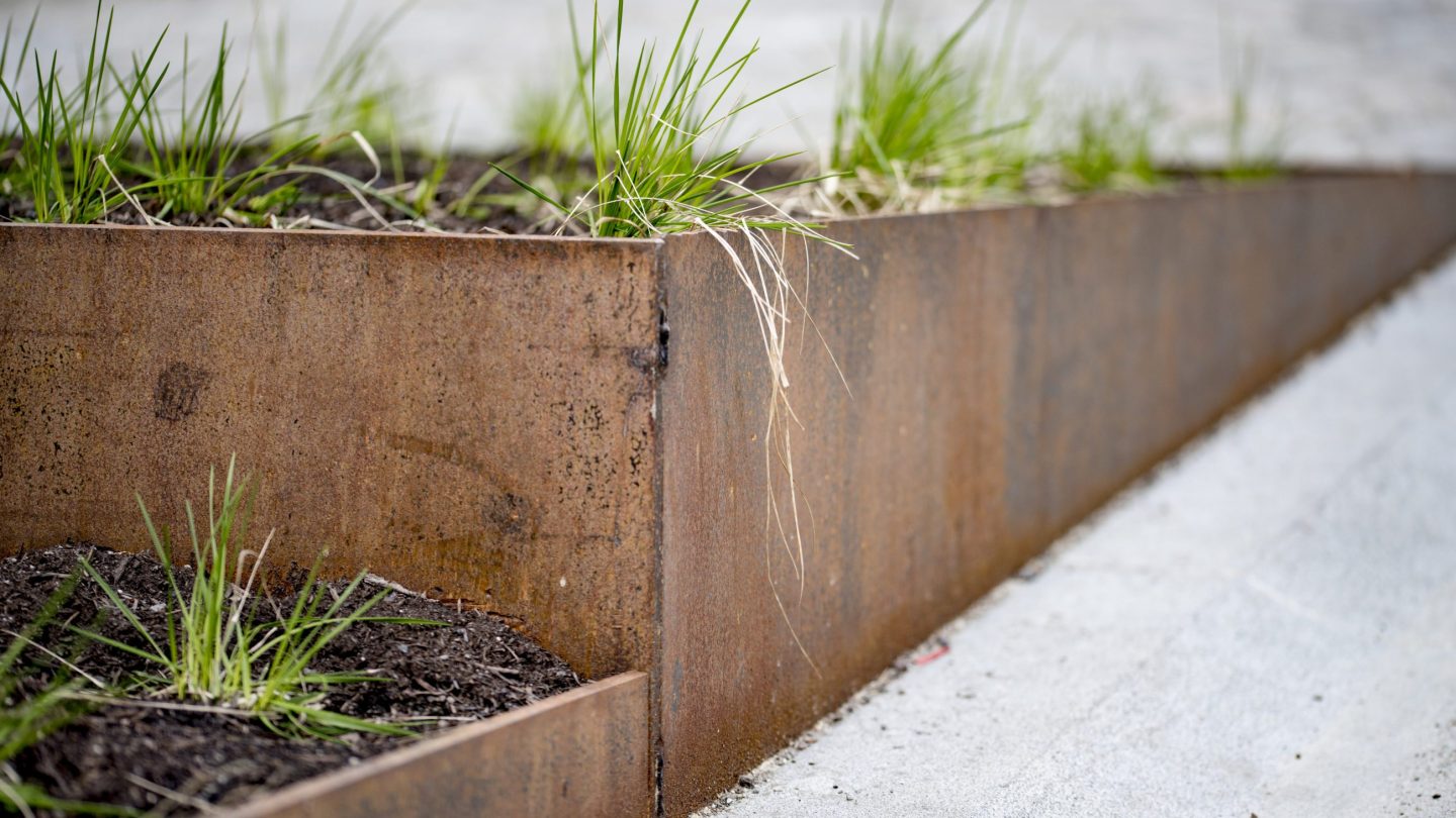 På bildet ser vi en blomsterkasse med planter som tåler både å stå i vann i kortere perioder, og i tørr jord når det ikke regner.