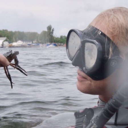 Livet i Oslofjorden, dykker, sjøstjerne