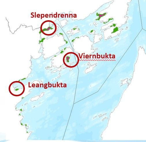 Mulige testområder og donorenger for restaurering av ålegraseng Foto NIVA