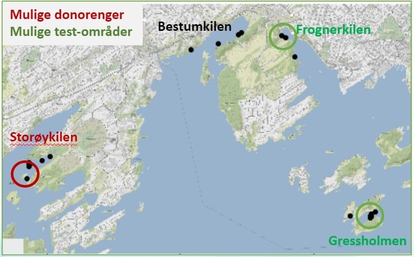 Mulige testområder og donorenger for restaurering av ålegraseng Foto NIVA2