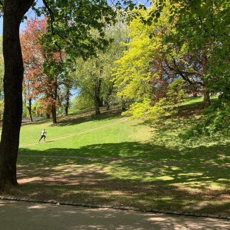 Gå til Sjekk hvordan din favorittpark bidrar til karbonlagring og klimatilpasning i byen