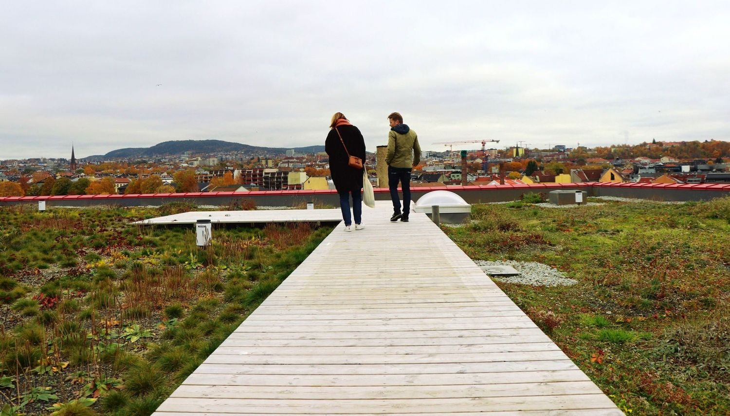 Oslo's climate strategy: green roofs