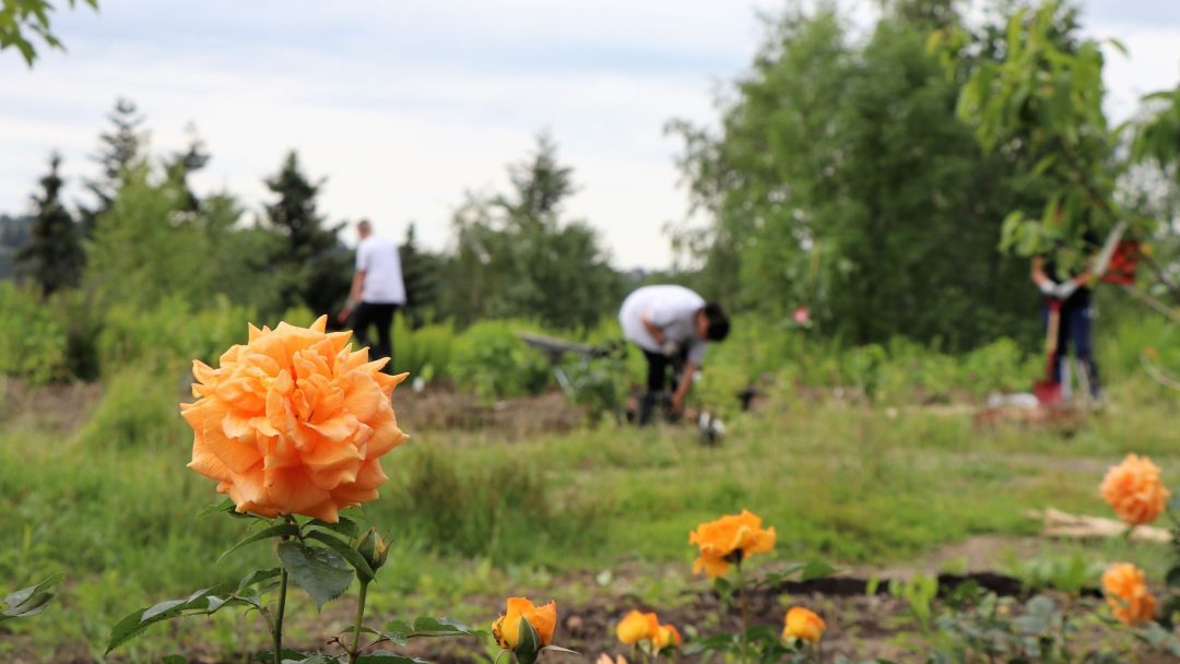 nærbilde av blomst med ungdommer som jobber i bakgrunnen