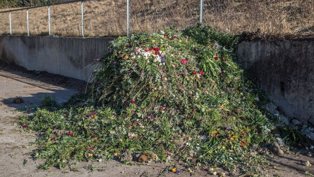 Blomster i en haug som er sortert.