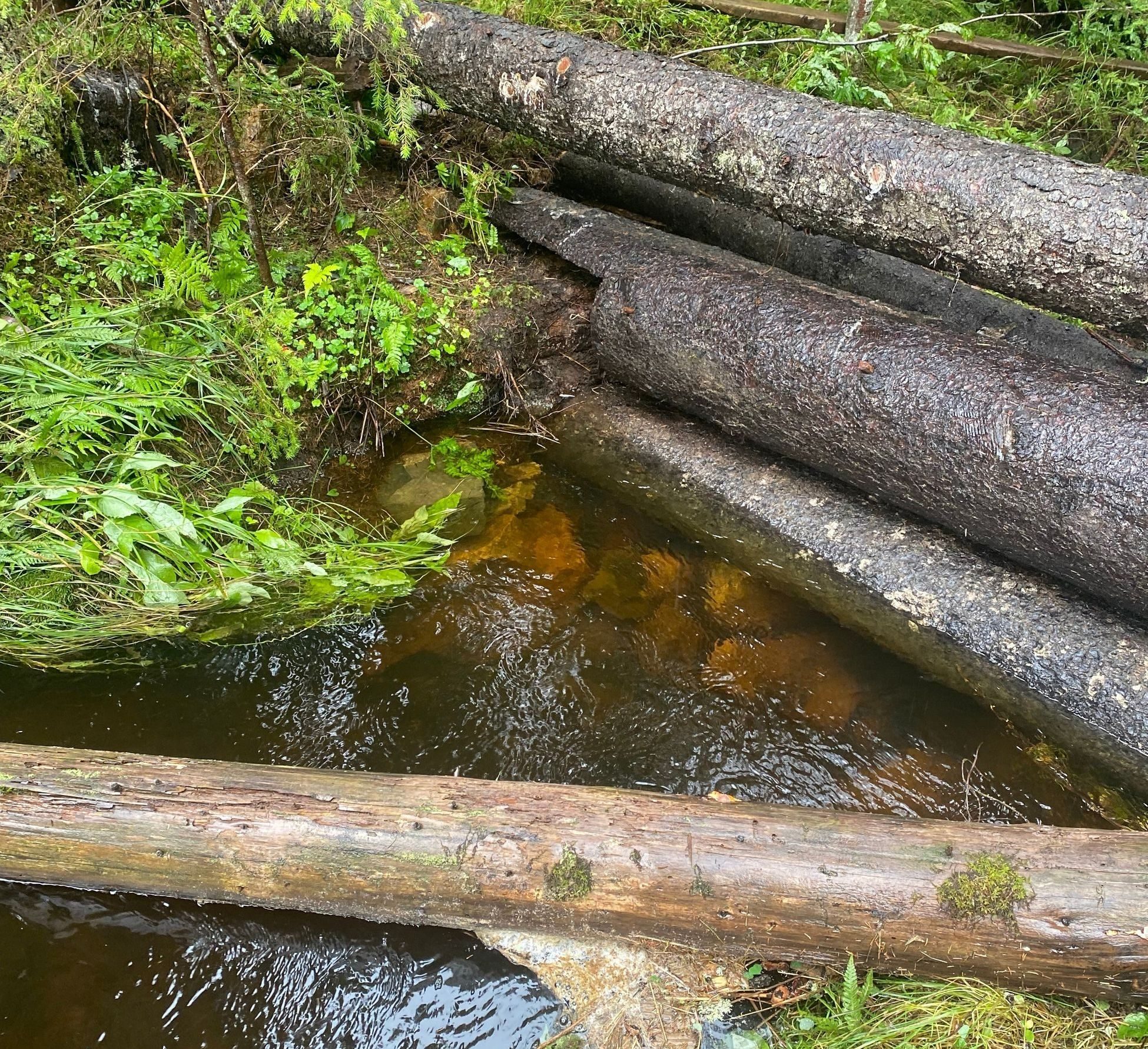 På bildet ser du tre stokker som står stablet i en bekk. Bildet er tatt i forbindelse med styrtregn, og vi ser at stokkene demmer opp vannet, slik at ikke alt renner rett ned i byen.