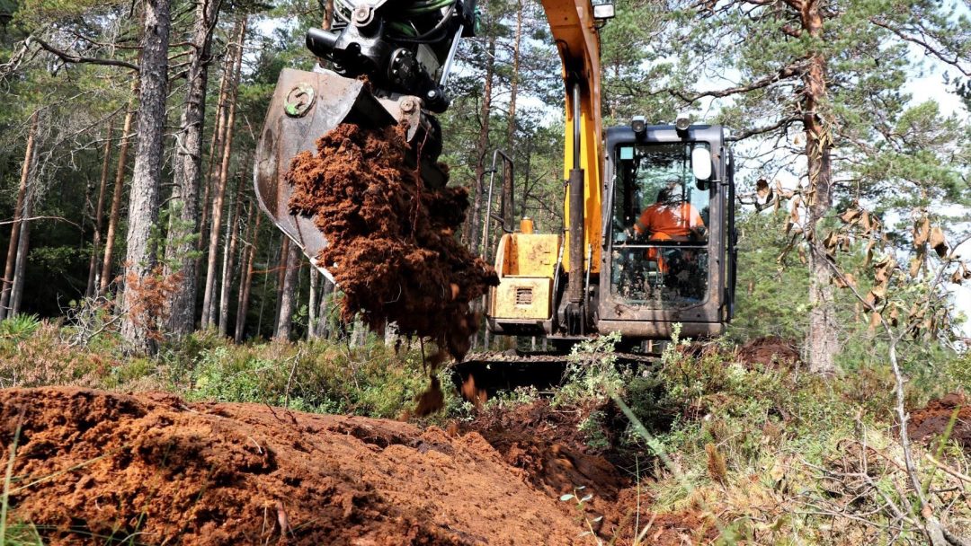 gravemaskin i skogen