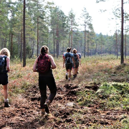 Gå til Kan vi drive skogen på en måte som er bra for både klima og natur?