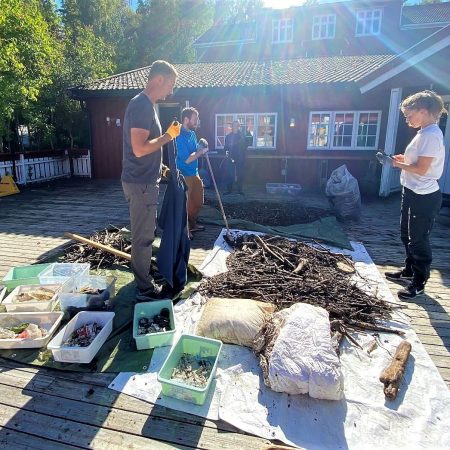 Gå til Handlingsplan mot plastforurensning i Oslofjorden 2019 – 2020