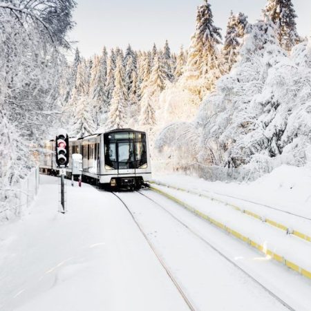 T-bane viser kollektivt i snøkledd skog