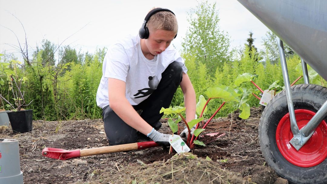bilde av Noah Taihaugen Kjølstad mens han jobber med å plante