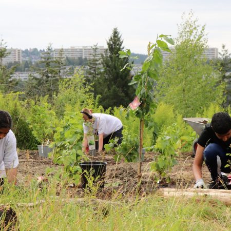 tre ungdommer som planter