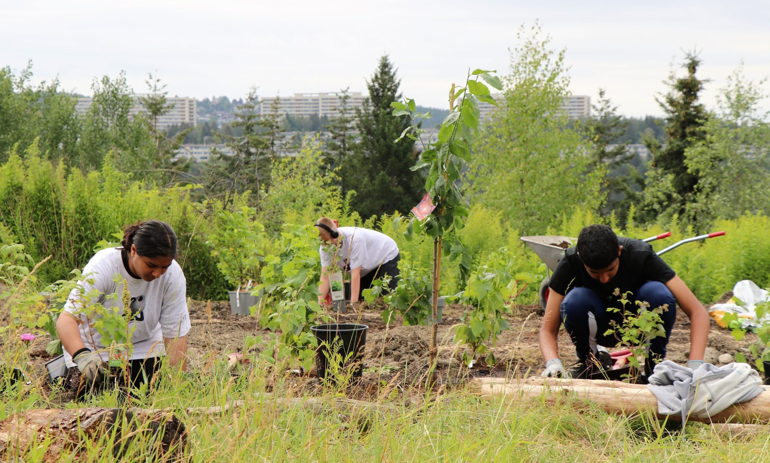 tre ungdommer som planter