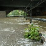 Akerselva flommer over gangsti etter styrtregn