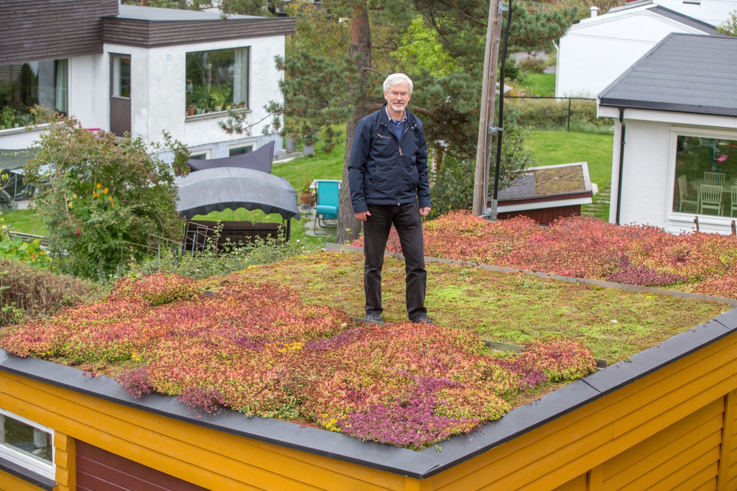 Bent C. Braskerud står på garasjetaket med tre typer plantedekke.