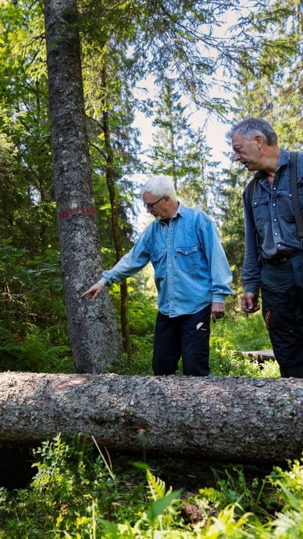 To karer i marka, han ene peker mot trestokken.