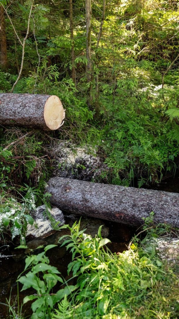 To stokker som ligger plassert mot hverandre som en barriere.