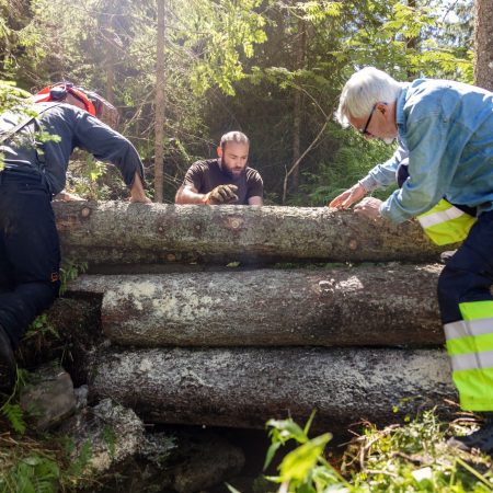 flomdemping fordrøyning trestokker marka klimatilpasning