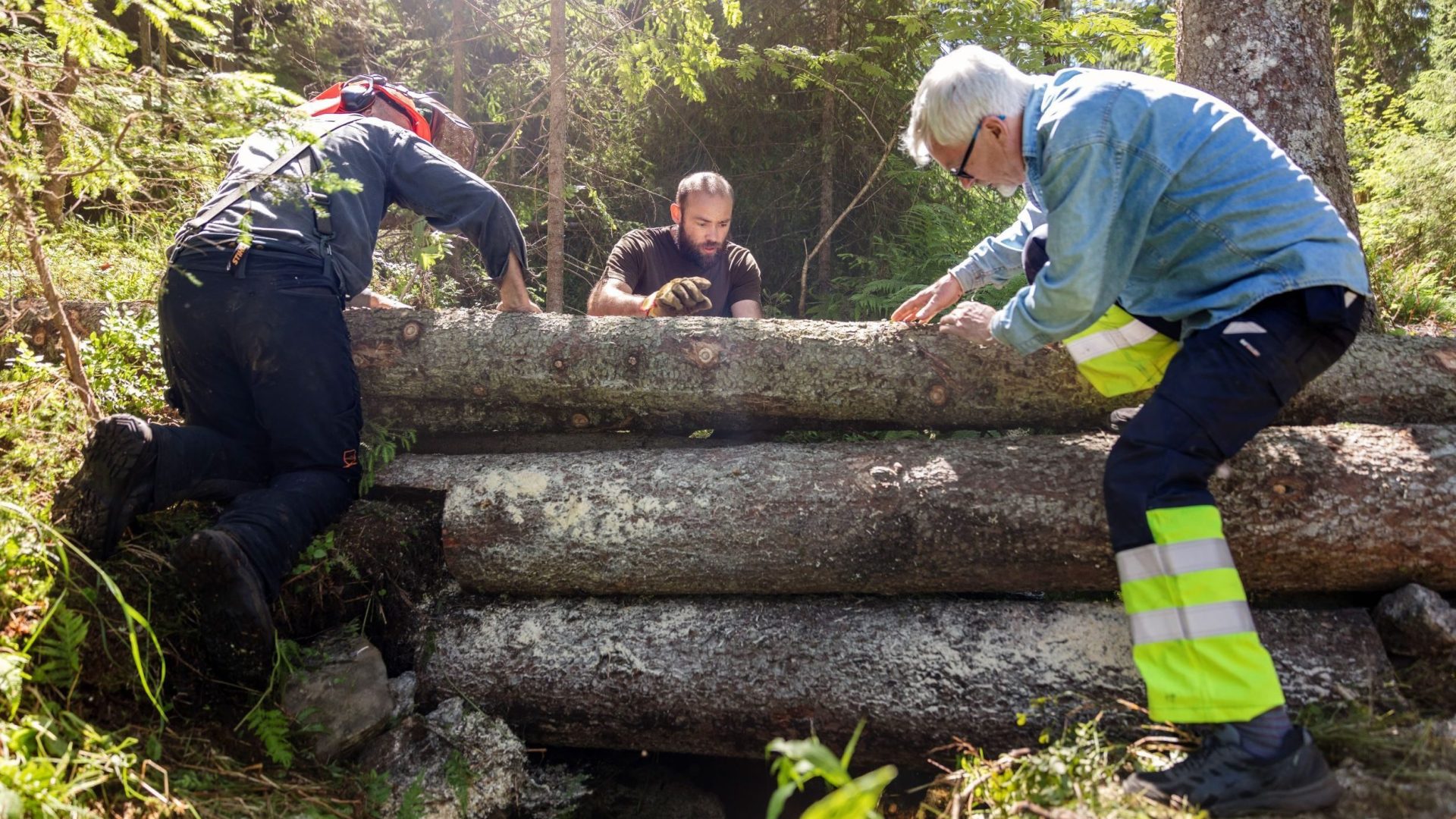 trestokker og tre arbeidskarer i marka