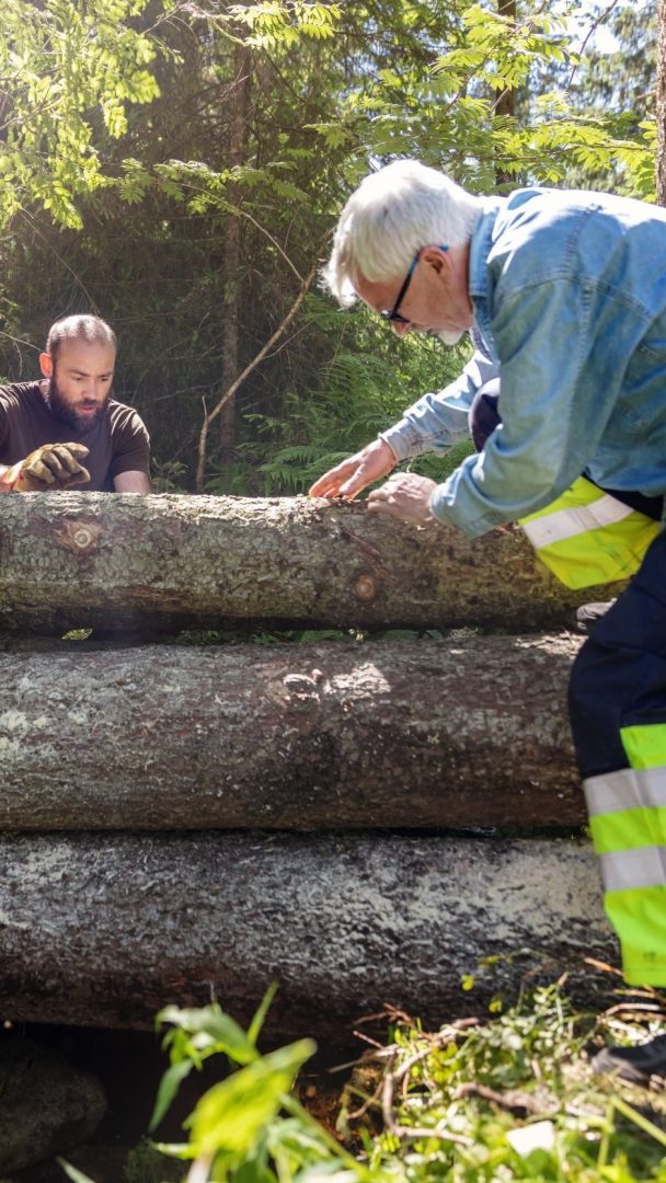 trestokker og tre arbeidskarer i marka.