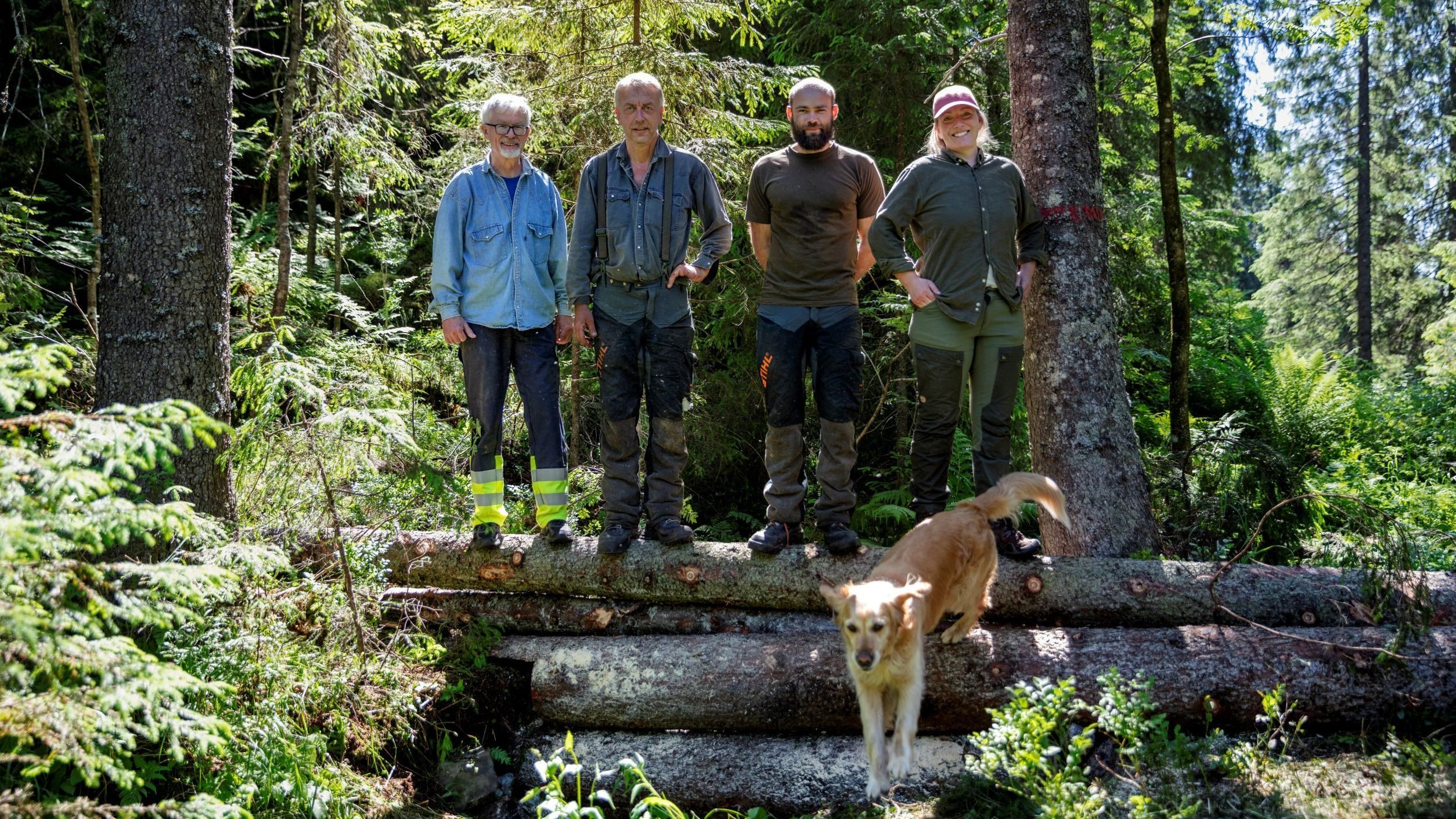 Bent Christen Braskerud (sjefsingeniør i Vann- og avløpsetaten), Knut Johansson (Nordmarka-ansvarlig i Bymiljøetaten), Esben Kirk Hansen (skogforvalter i seksjon Nordmarka i Bymiljøetaten ) og Linn Marie Heimberg (klimatilpasningsrådgiver i Klimaetaten – sammen med hunden Casia, som er veldig glad i både vann og stokker.