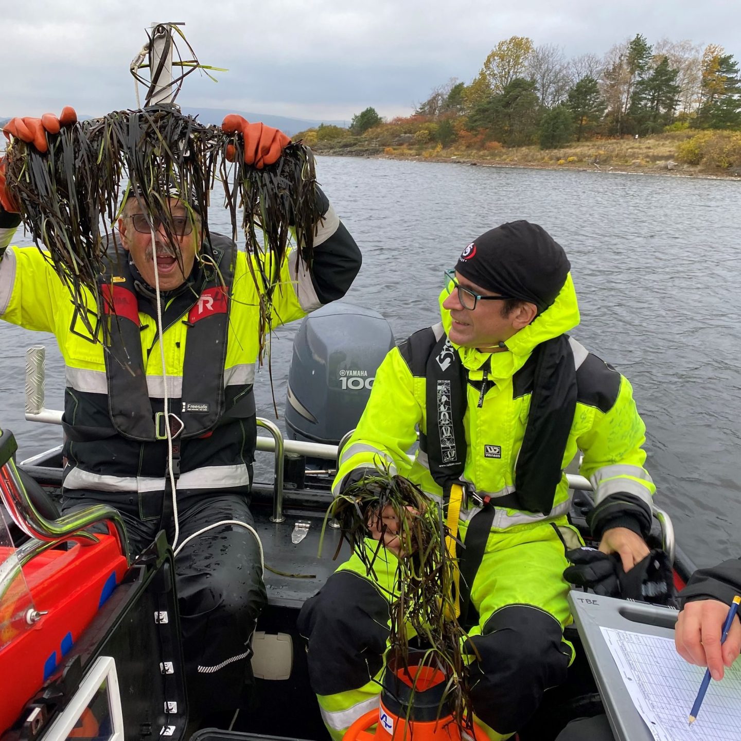 menn i en båt har hentet opp ålegras fra vannet