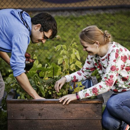 Plant containers. Urban gardening in Oslo