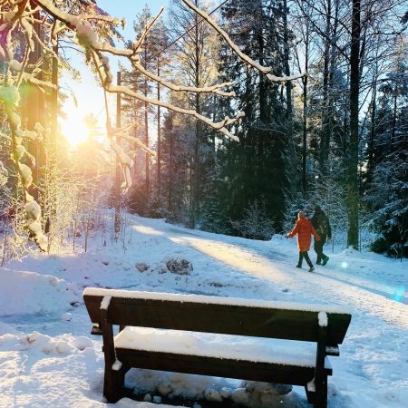 Gå til 16 fine markaturer - uten ski