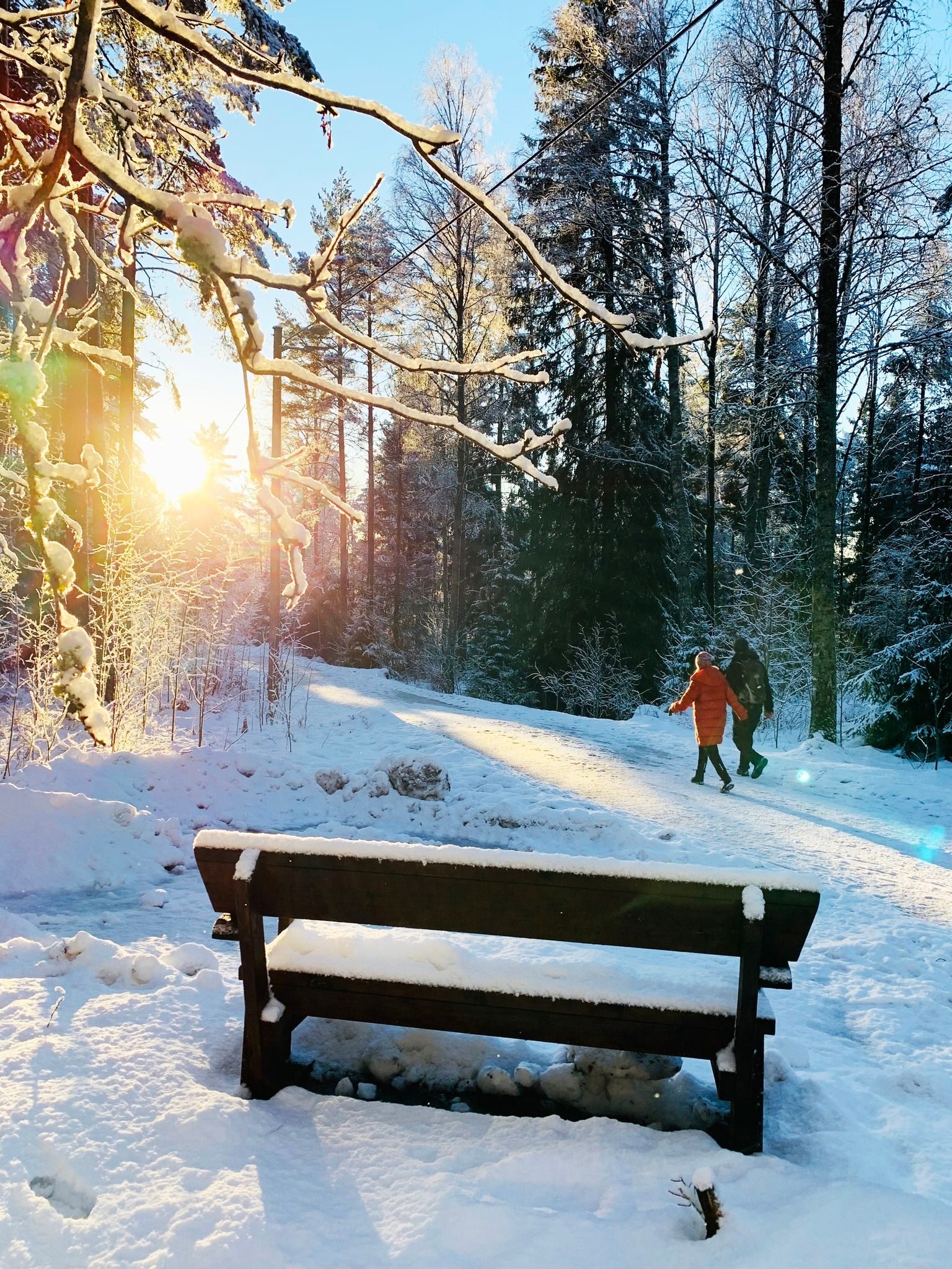 Gå til 16 fine markaturer - uten ski