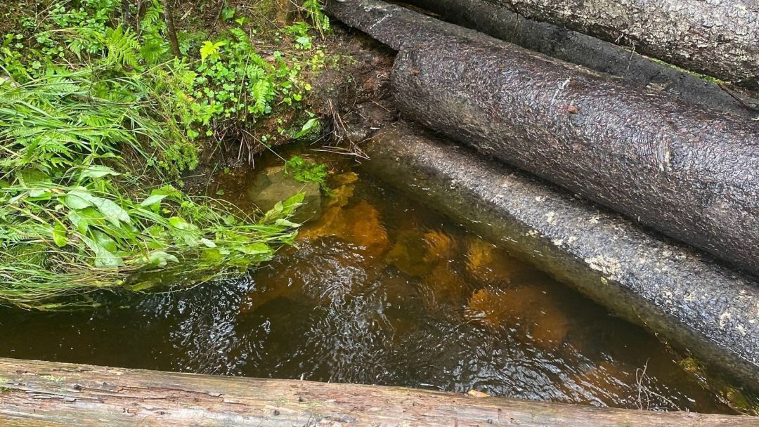 Her er stokkene i Skådalen som skal bidra til å bremse regnvannet fra å renne ned i Oslo under styrtregn.