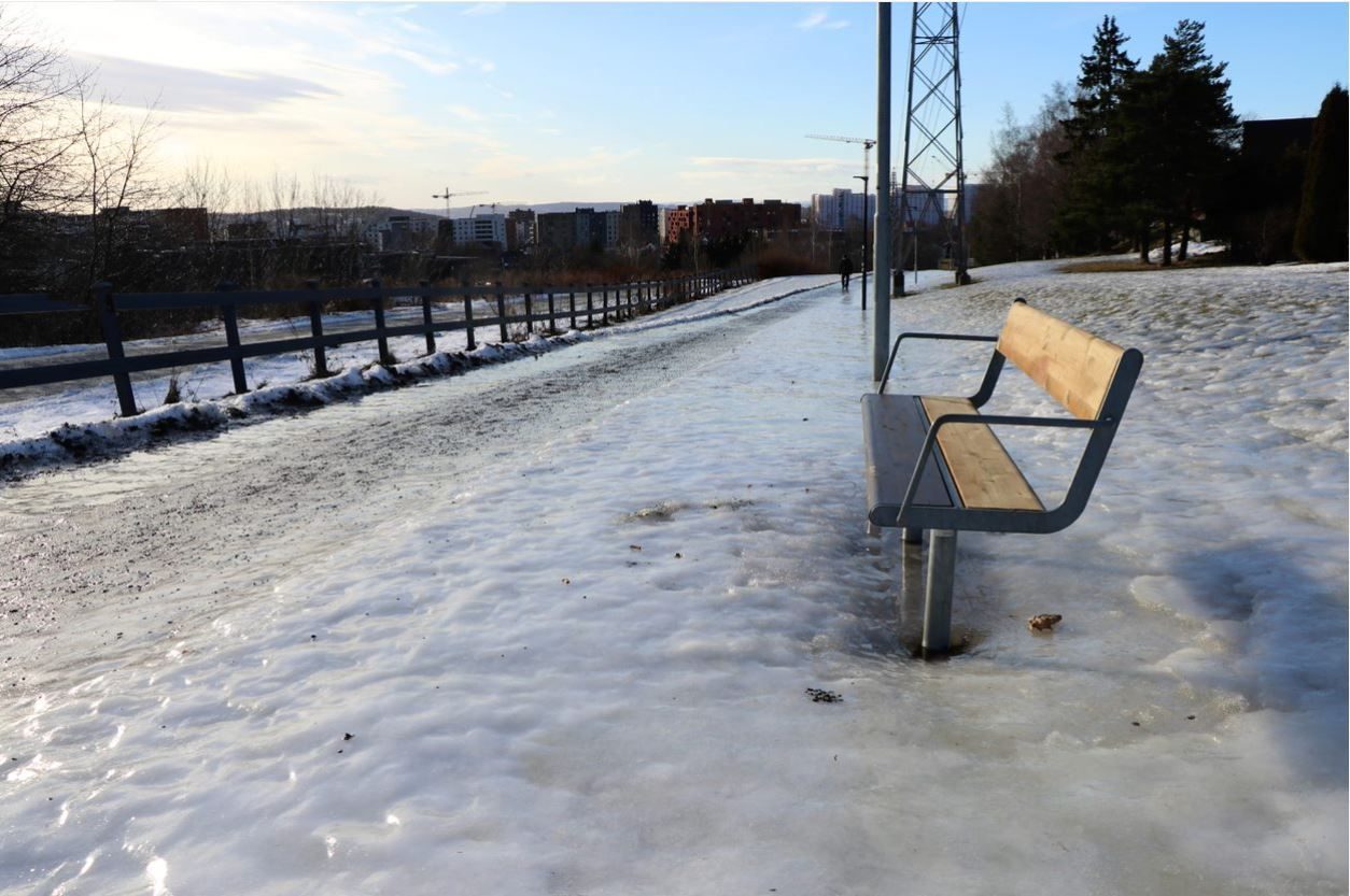 Ishålke i Tøyenparken og en benk.