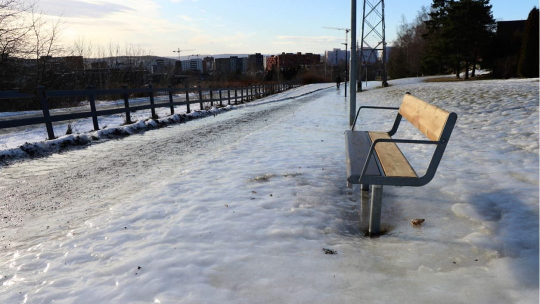 Hålka i Tøyenparken og en benk.