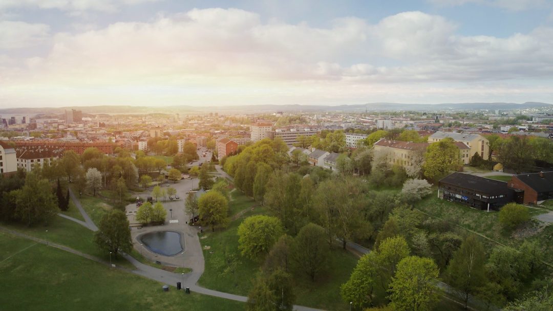 Grønn dal i Oslo