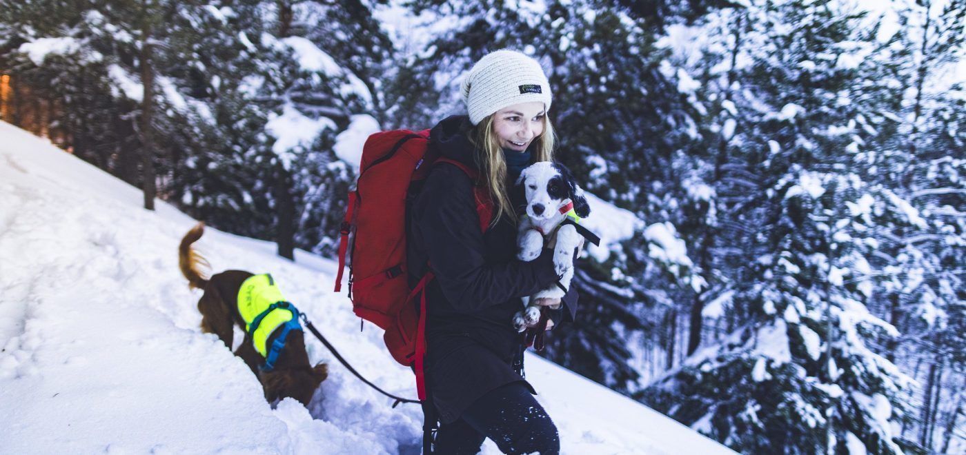 a woman and two dogs walking in the snowy woods