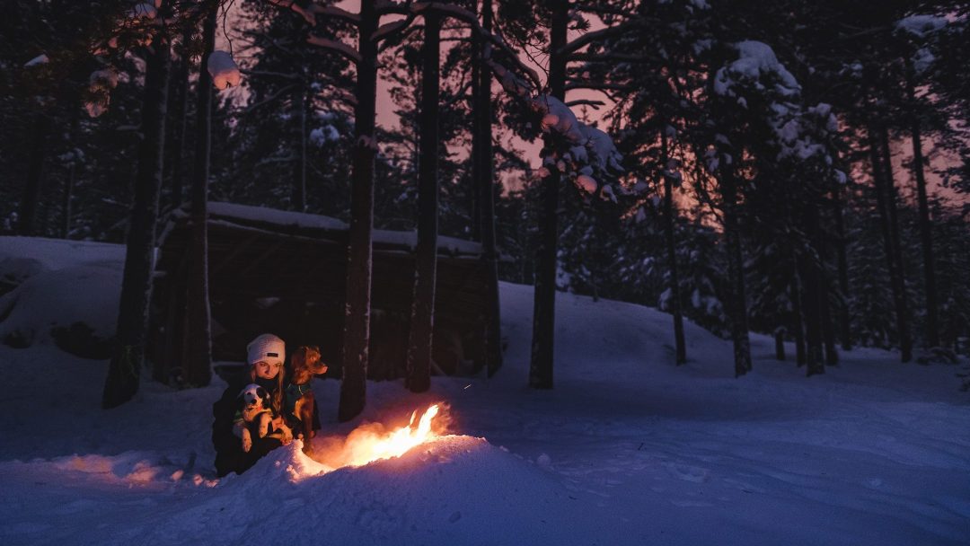 a woman and two dogs sitting by a bonfire in the woods, snow, dark