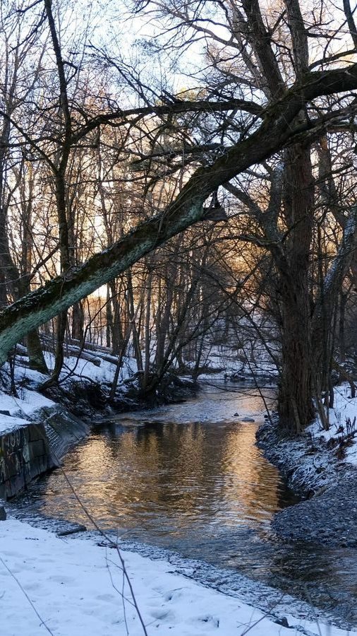 Alnaelva med snø langs breddene og lavt sollys