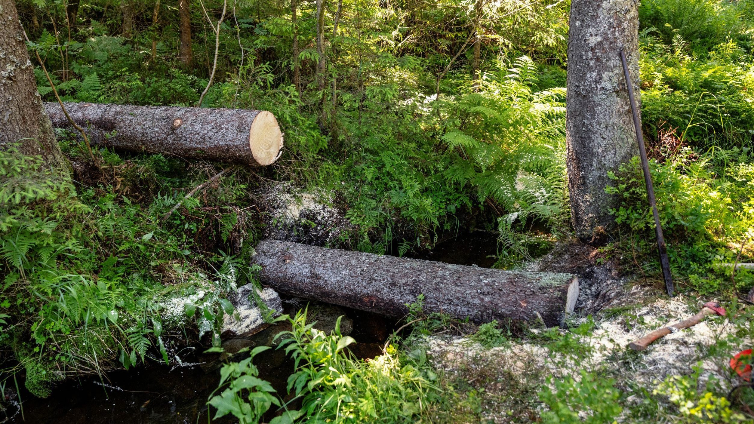 To stokker som ligger plassert mot hverandre som en barriere.