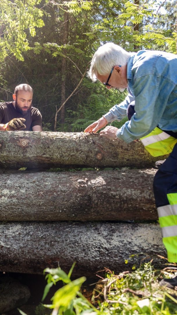 Tre arbeidskarer som legger trestokkene tett sammen.