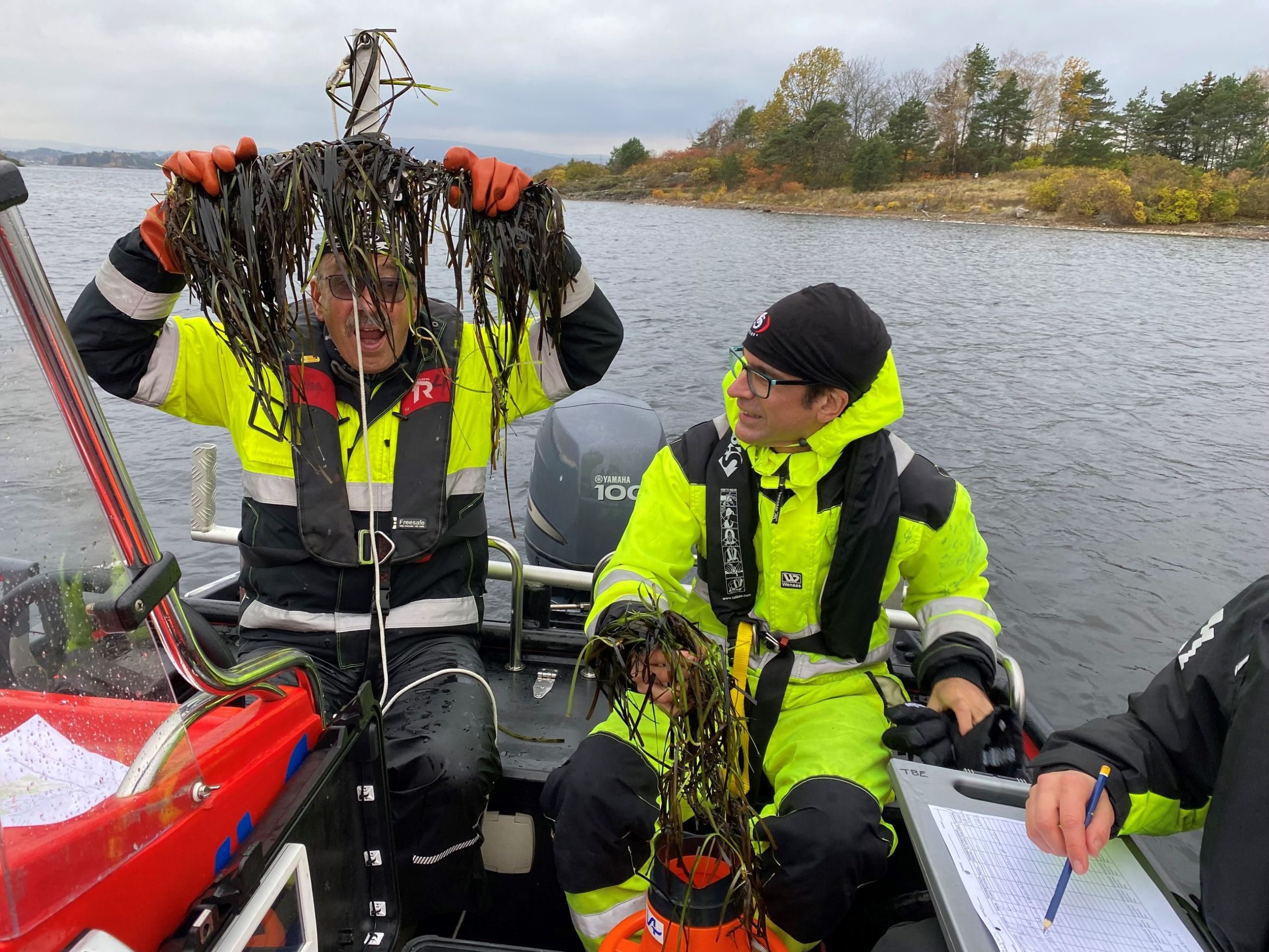 lederens beretning: ålegras