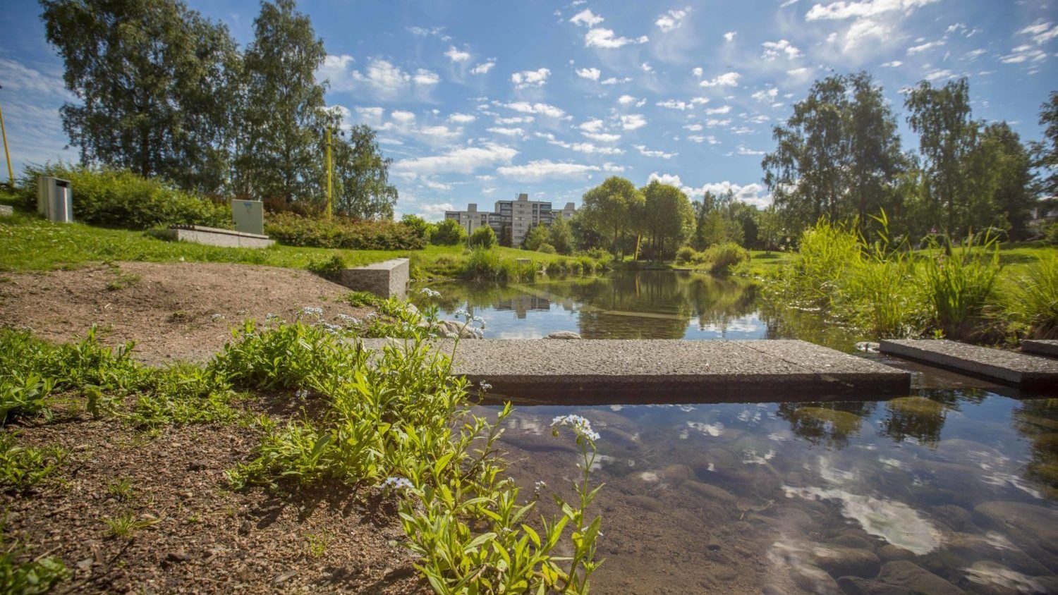 Parken har en liten dam med brygge.