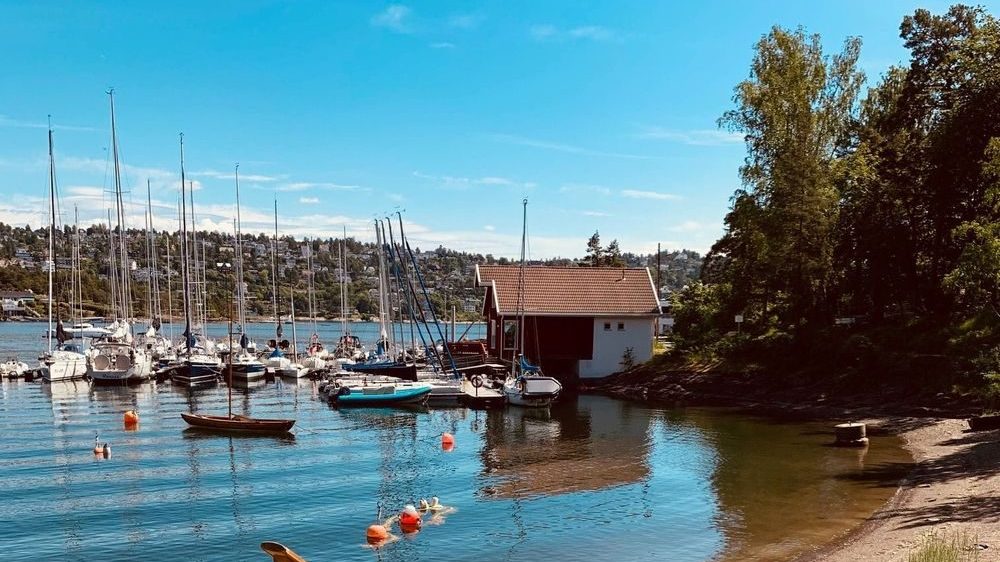 Bad- og båtplass ved Malmøya. Lite båthus ved vannkanten.