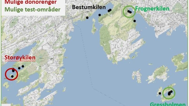 Kart over Oslofjorden og mulige steder der ålegrasenger kan etablere seg.